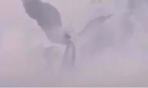 Мрежата ври и кипи от тази загадъчна гледка: В небето се появи порта към Рая, а пред нея… (ВИДЕО)