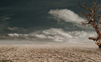 "С кафето" - забавление, любопитни факти, новини "С кафето" - забавление, любопитни факти, новини